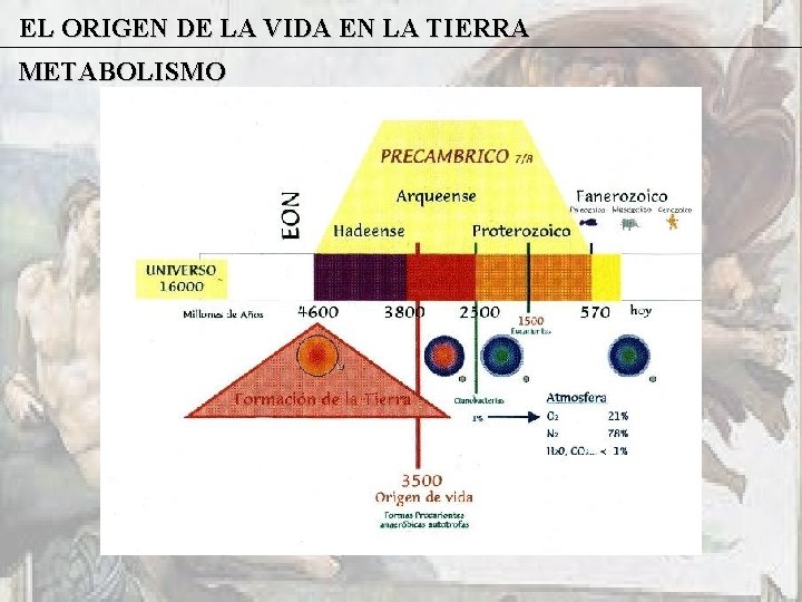 EL ORIGEN DE LA VIDA EN LA TIERRA METABOLISMO 