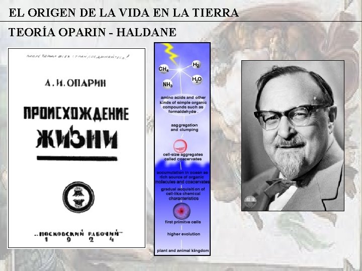 EL ORIGEN DE LA VIDA EN LA TIERRA TEORÍA OPARIN - HALDANE 