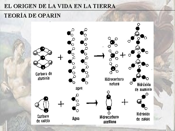 EL ORIGEN DE LA VIDA EN LA TIERRA TEORÍA DE OPARIN 