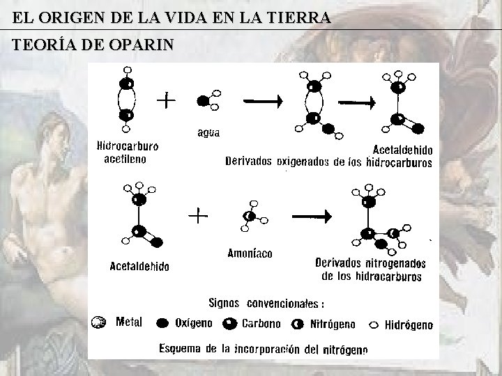 EL ORIGEN DE LA VIDA EN LA TIERRA TEORÍA DE OPARIN 