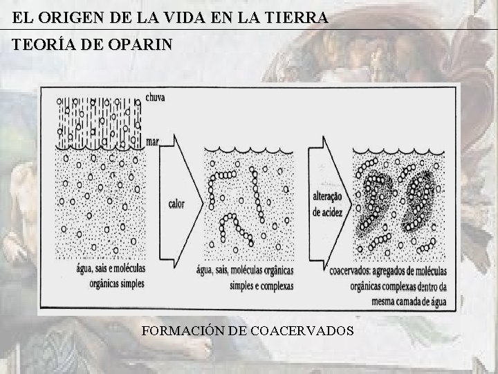 EL ORIGEN DE LA VIDA EN LA TIERRA TEORÍA DE OPARIN FORMACIÓN DE COACERVADOS