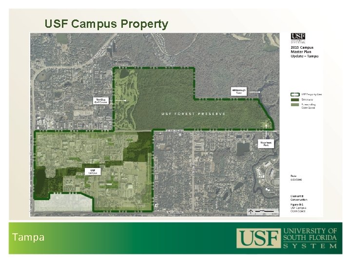 USF Campus Property Tampa 