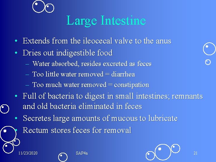 Large Intestine • Extends from the ileocecal valve to the anus • Dries out