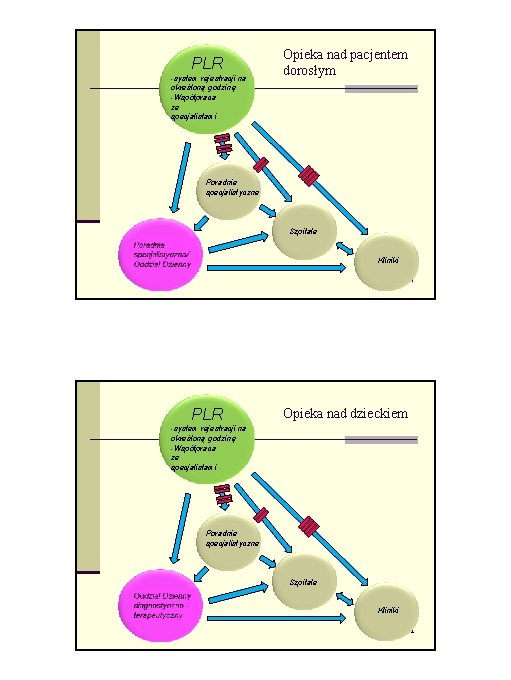 PLR -system rejestracji na określoną godzinę -Współpraca ze specjalistami Opieka nad pacjentem dorosłym Poradnie