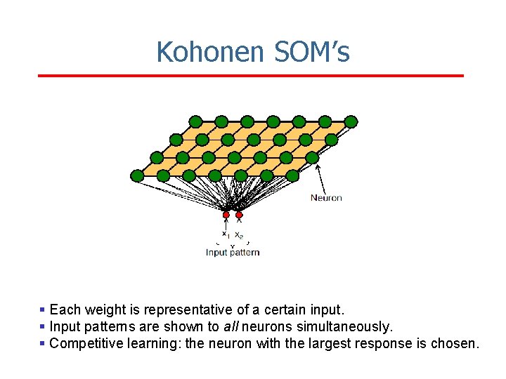 Kohonen SOM’s § Each weight is representative of a certain input. § Input patterns