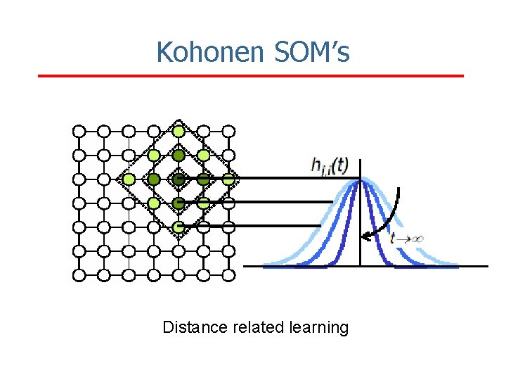 Kohonen SOM’s Distance related learning 