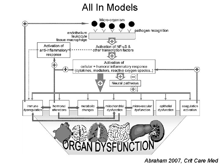 All In Models Abraham 2007, Crit Care Med 