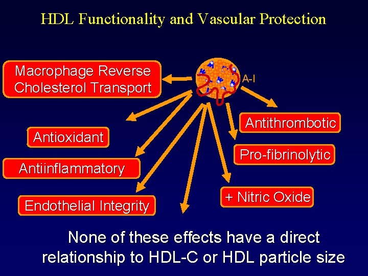 HDL Functionality and Vascular Protection Macrophage Reverse Cholesterol Transport Antioxidant Antiinflammatory Endothelial Integrity A-I