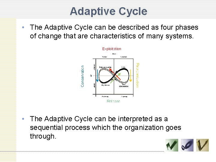 Adaptive Cycle • The Adaptive Cycle can be described as four phases of change
