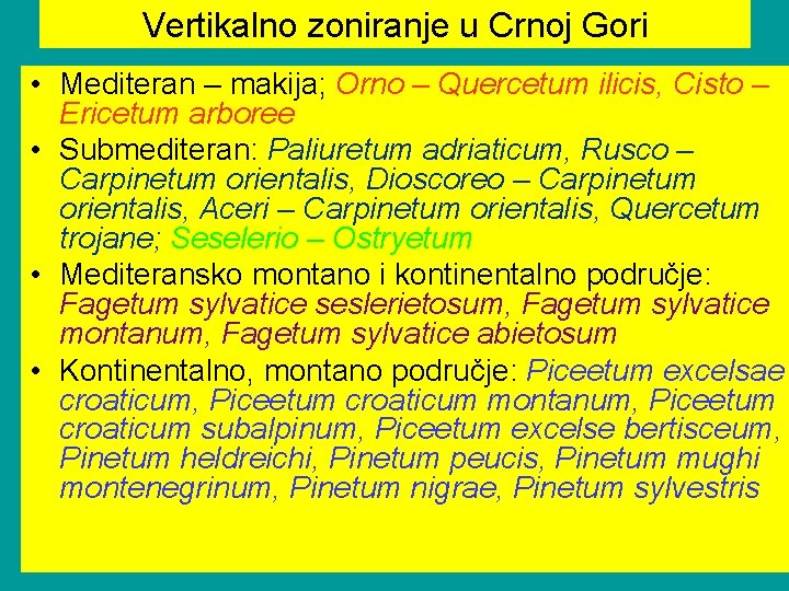 Vertikalno zoniranje u Crnoj Gori • Mediteran – makija; Orno – Quercetum ilicis, Cisto