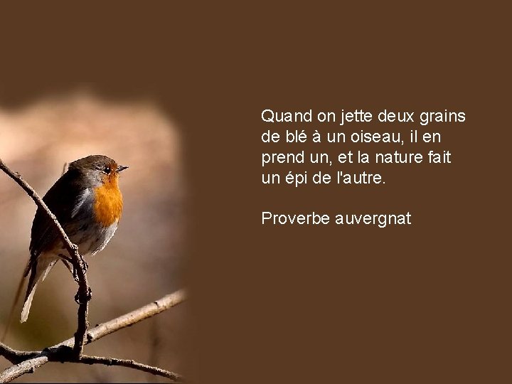 Quand on jette deux grains de blé à un oiseau, il en prend un,