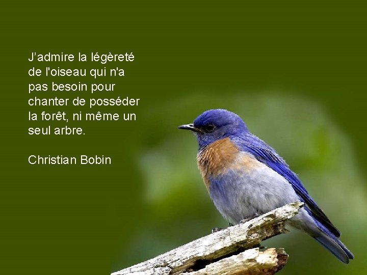 J’admire la légèreté de l'oiseau qui n'a pas besoin pour chanter de posséder la