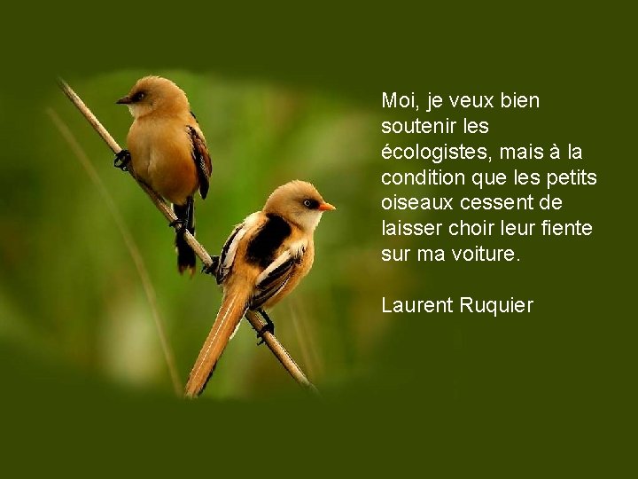 Moi, je veux bien soutenir les écologistes, mais à la condition que les petits
