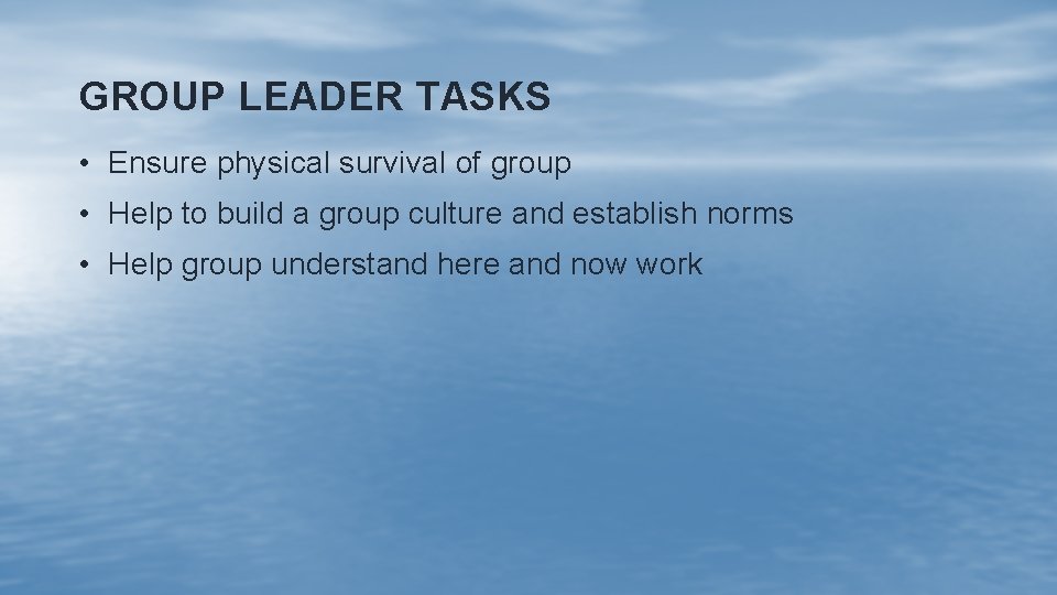 GROUP LEADER TASKS • Ensure physical survival of group • Help to build a