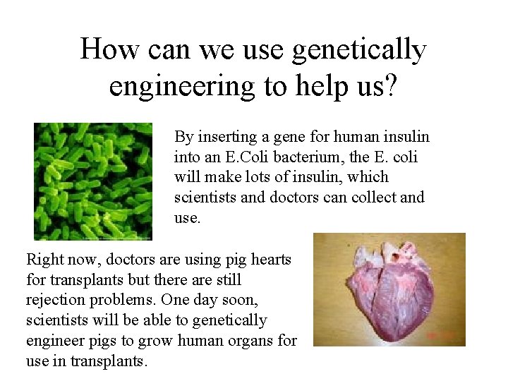 How can we use genetically engineering to help us? By inserting a gene for