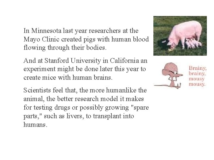 In Minnesota last year researchers at the Mayo Clinic created pigs with human blood