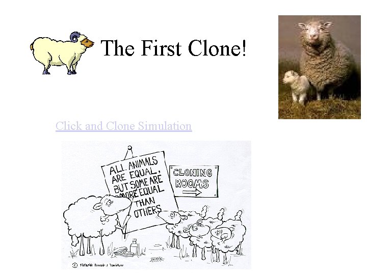 The First Clone! Click and Clone Simulation 