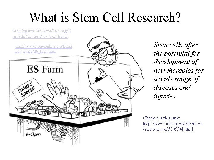 What is Stem Cell Research? http: //www. bionetonline. org/E nglish/Content/db_tool. htm# http: //www. bionetonline.