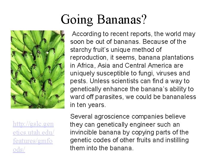 Going Bananas? According to recent reports, the world may soon be out of bananas.