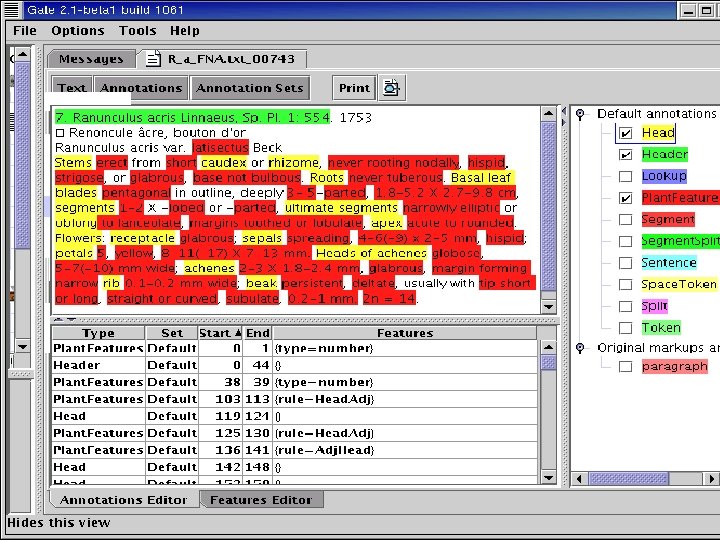 University of Sheffield NLP Multiflora 