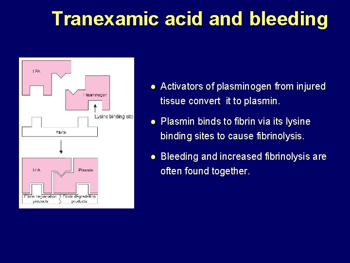 Tranexamic acid and bleeding ● Activators of plasminogen from injured tissue convert it to