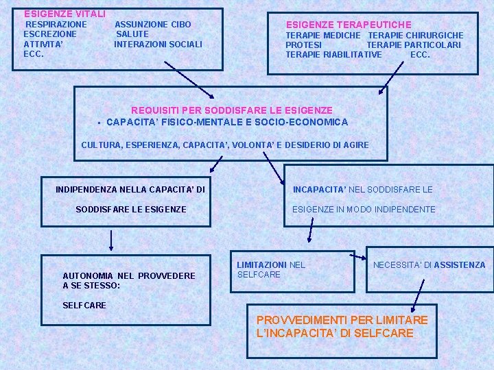 ESIGENZE VITALI RESPIRAZIONE ESCREZIONE ATTIVITA’ ECC. ASSUNZIONE CIBO SALUTE INTERAZIONI SOCIALI § ESIGENZE TERAPEUTICHE