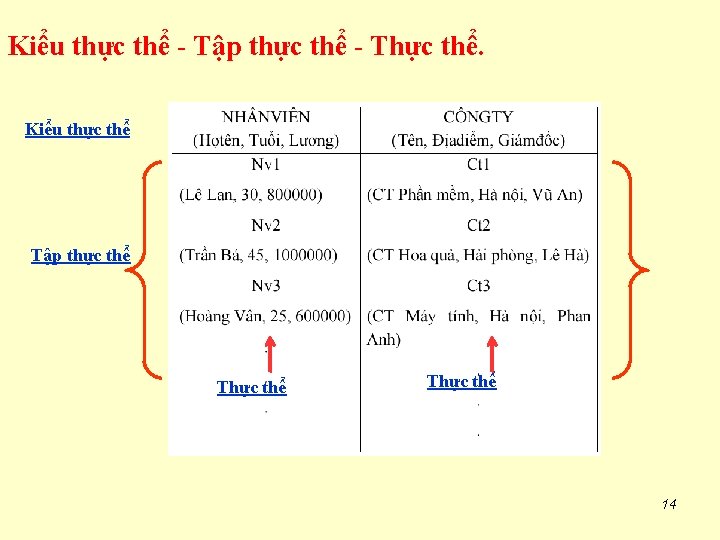 Kiểu thực thể - Tập thực thể - Thực thể. Kiểu thực thể Tập