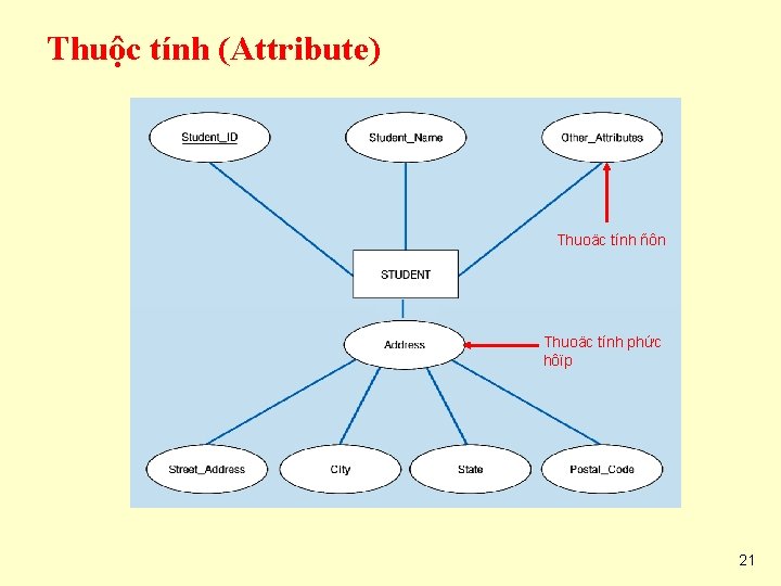 Thuộc tính (Attribute) Thuoäc tính ñôn Thuoäc tính phức hôïp 21 