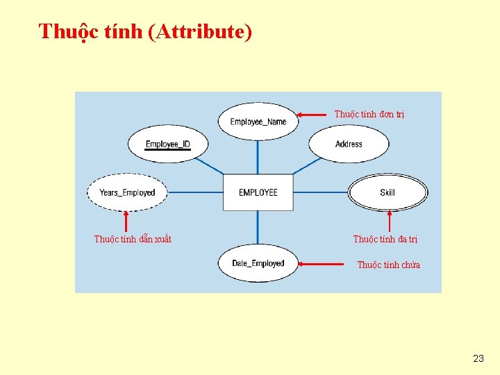 Thuộc tính (Attribute) Thuộc tính đơn trị Thuộc tính dẫn xuất Thuộc tính đa