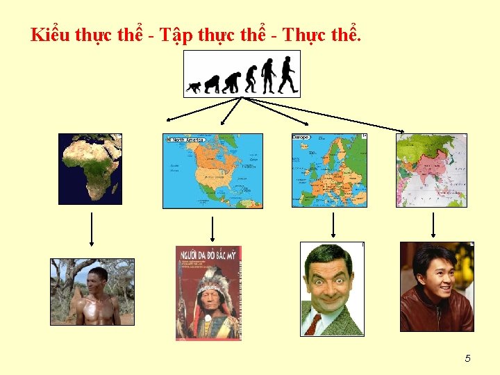 Kiểu thực thể - Tập thực thể - Thực thể. 5 
