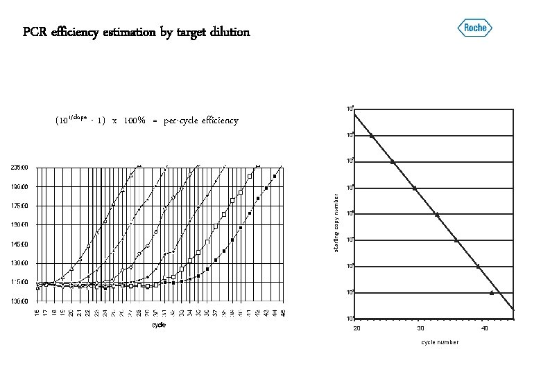 PCR efficiency estimation by target dilution 109 (101/slope - 1) x 100% = per-cycle