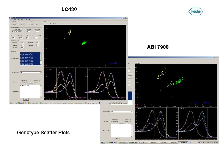 LC 480 ABI 7900 Genotype Scatter Plots 