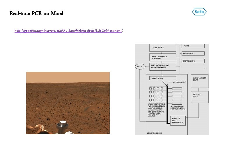 Real-time PCR on Mars! (http: //genetics. mgh. harvard. edu/Ruvkun. Web/projects/Life. On. Mars. html) 