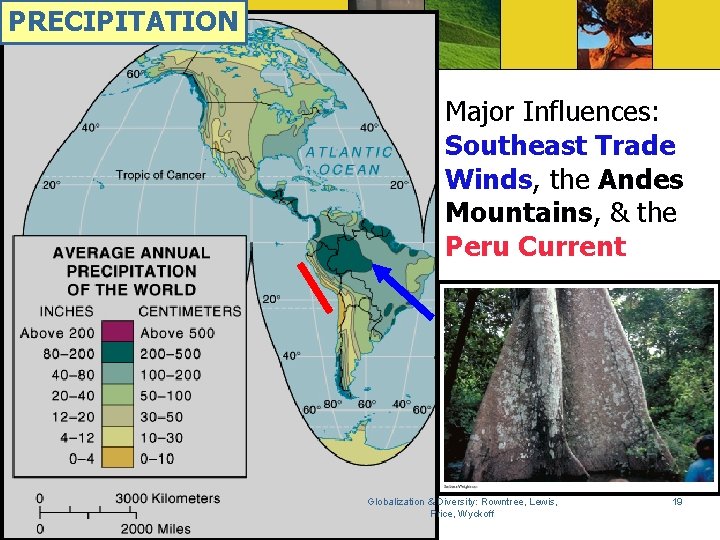 PRECIPITATION Major Influences: Southeast Trade Winds, the Andes Mountains, & the Peru Current Globalization
