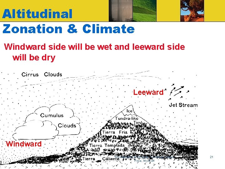 Altitudinal Zonation & Climate Windward side will be wet and leeward side will be
