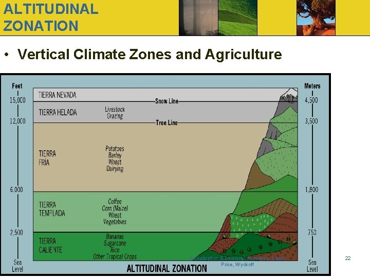 ALTITUDINAL ZONATION • Vertical Climate Zones and Agriculture Globalization & Diversity: Rowntree, Lewis, Price,