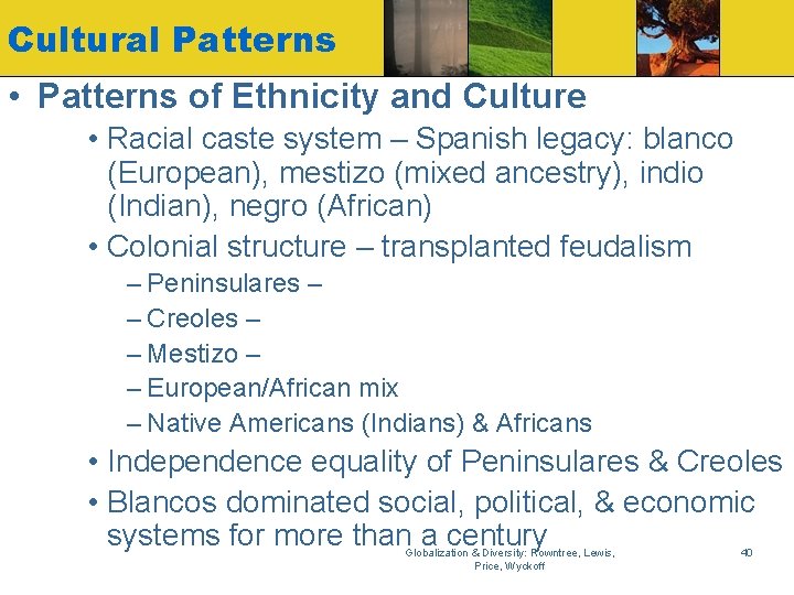 Cultural Patterns • Patterns of Ethnicity and Culture • Racial caste system – Spanish