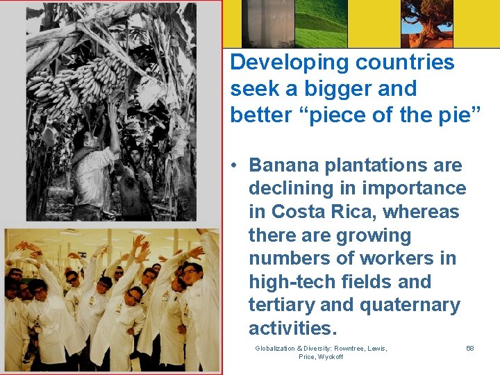 Developing countries seek a bigger and better “piece of the pie” • Banana plantations