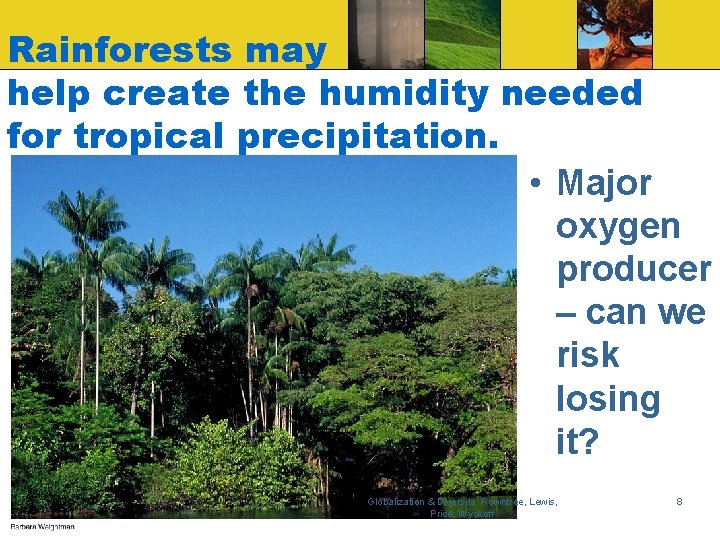 Rainforests may help create the humidity needed for tropical precipitation. • Major oxygen producer