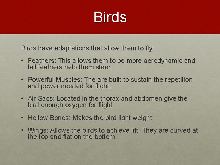 Birds have adaptations that allow them to fly: • Feathers: This allows them to