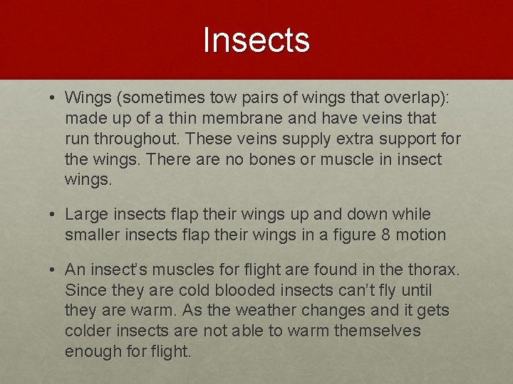 Insects • Wings (sometimes tow pairs of wings that overlap): made up of a