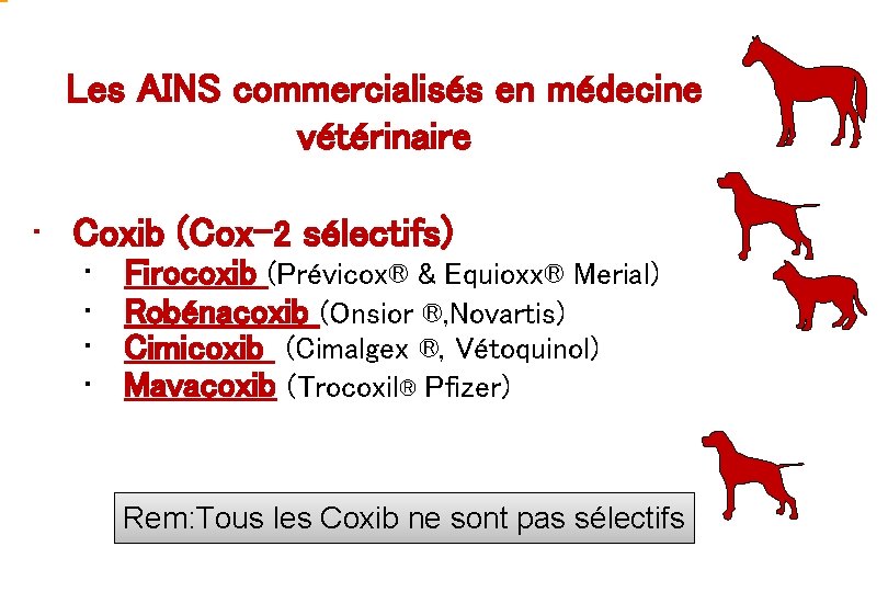 Les AINS commercialisés en médecine vétérinaire • Coxib (Cox-2 sélectifs) • • Firocoxib (Prévicox®