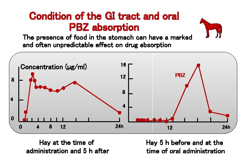 Condition of the GI tract and oral PBZ absorption The presence of food in