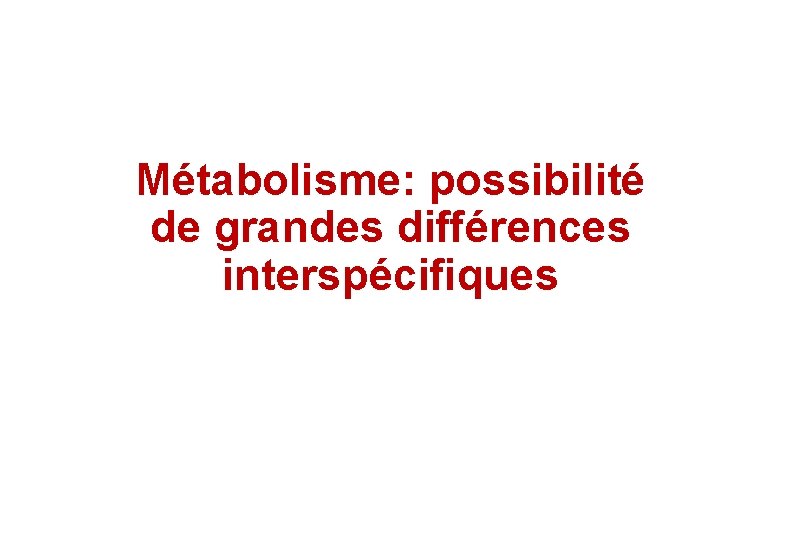 Métabolisme: possibilité de grandes différences interspécifiques 