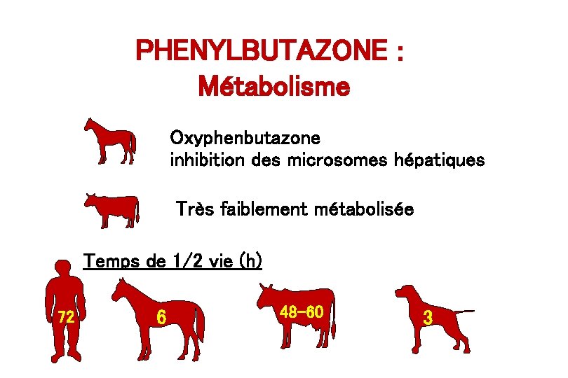 PHENYLBUTAZONE : Métabolisme Oxyphenbutazone inhibition des microsomes hépatiques Très faiblement métabolisée Temps de 1/2