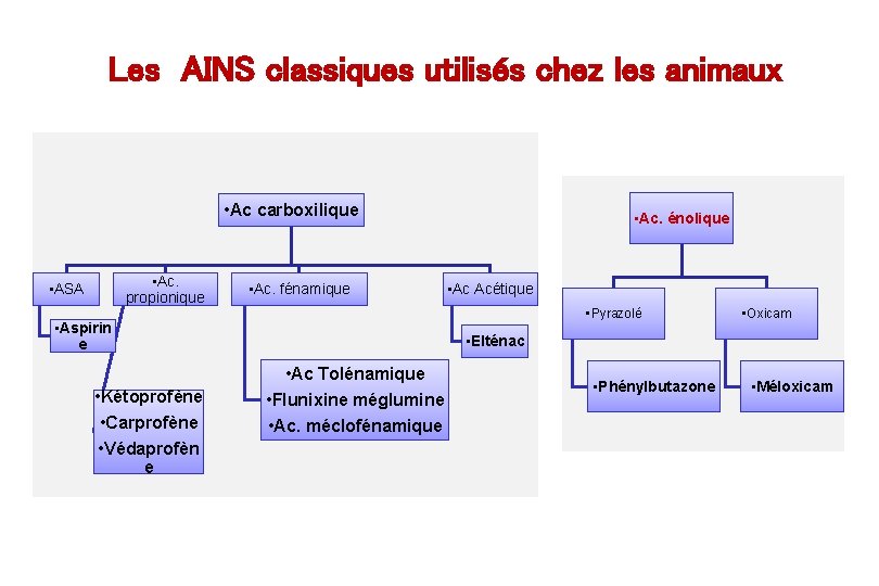 Les AINS classiques utilisés chez les animaux • Ac carboxilique • Ac. propionique •