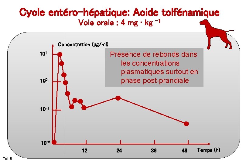 Cycle entéro-hépatique: Acide tolfénamique Voie orale : 4 mg • kg -1 Concentration (µg/ml)