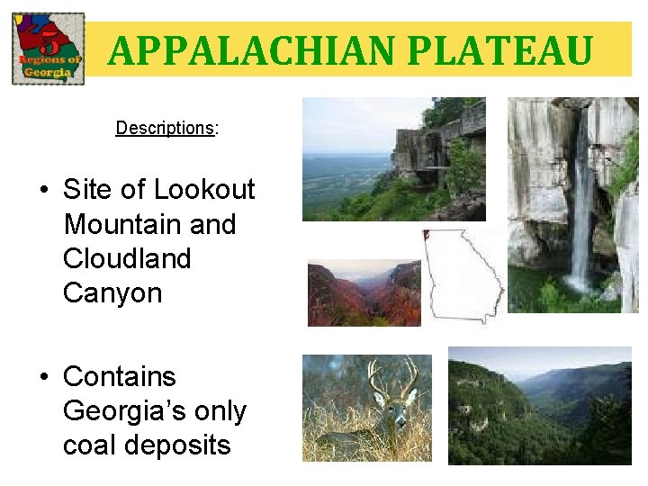 APPALACHIAN PLATEAU Descriptions: • Site of Lookout Mountain and Cloudland Canyon • Contains Georgia’s APPALACHIAN PLATEAU Descriptions: • Site of Lookout Mountain and Cloudland Canyon • Contains Georgia’s