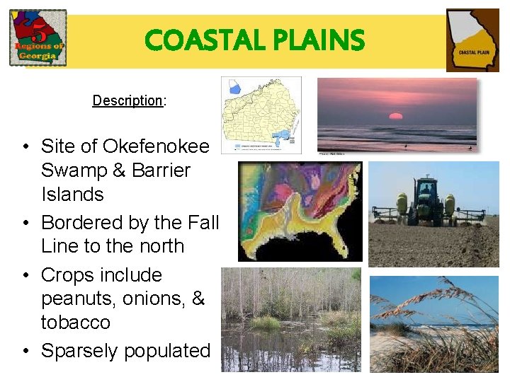 COASTAL PLAINS Description: • Site of Okefenokee Swamp & Barrier Islands • Bordered by COASTAL PLAINS Description: • Site of Okefenokee Swamp & Barrier Islands • Bordered by
