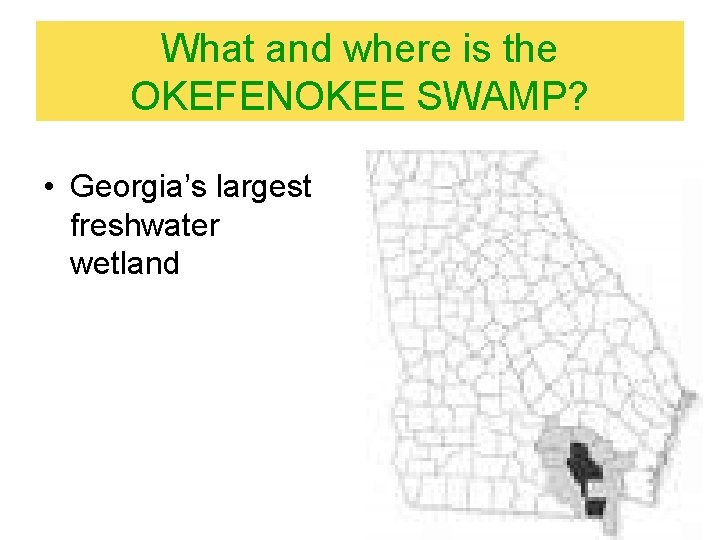 What and where is the OKEFENOKEE SWAMP? • Georgia’s largest freshwater wetland What and where is the OKEFENOKEE SWAMP? • Georgia’s largest freshwater wetland